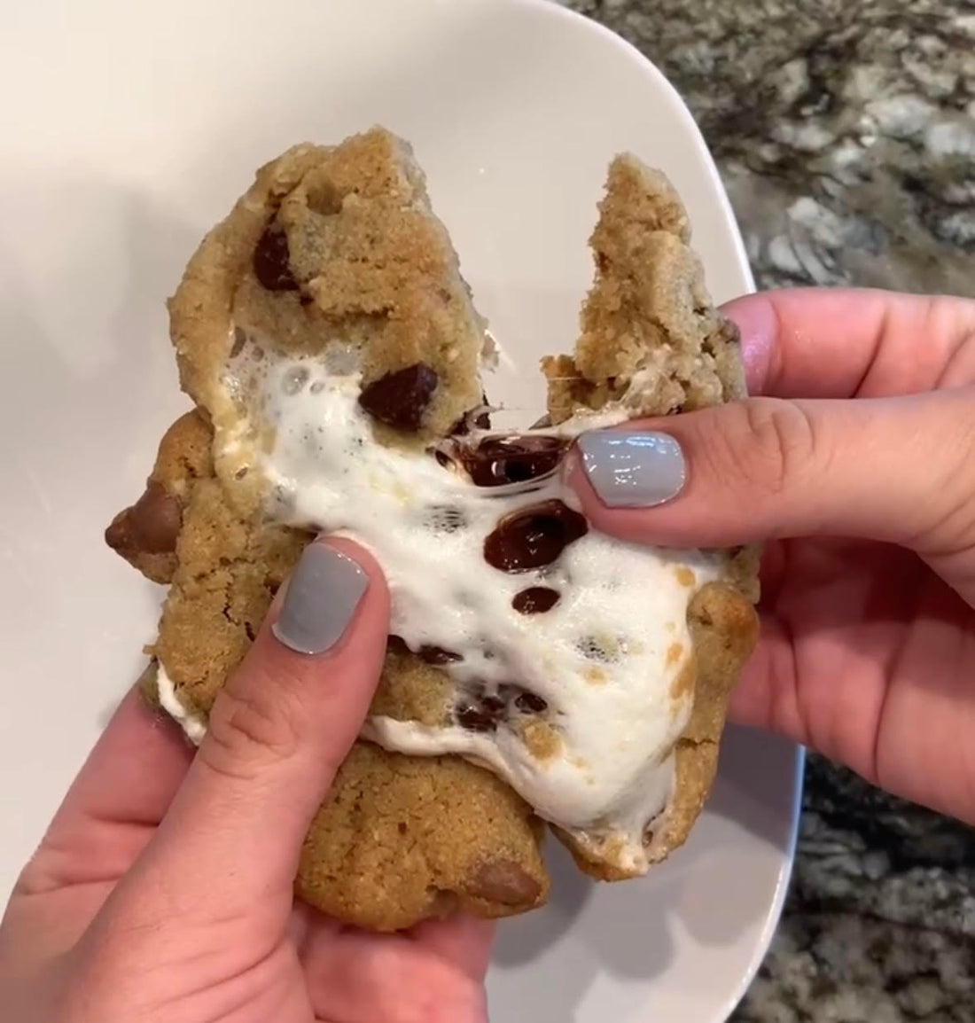 S'mores Cookie Summer Treat